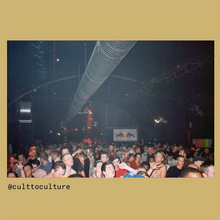 Cult to Culture Book III